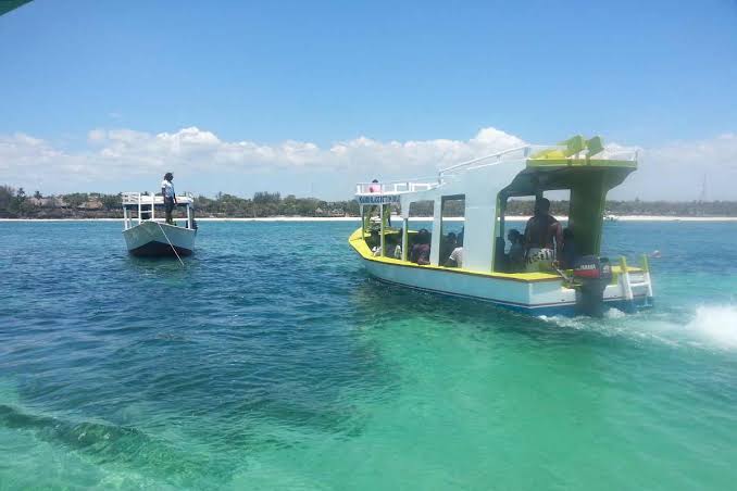 Marine Parks & Boat Trips