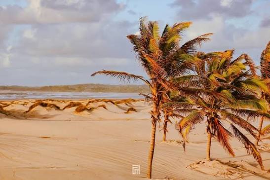 Mambrui Sand Dunes