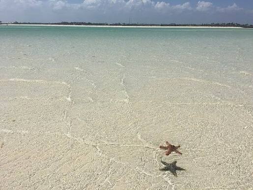 Sardegna Due (Sardegna 2)